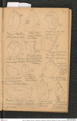 Seite 35, Tagebuch "Diluvium | Getzersdorf | Statzendorf | Willendorf | Mießling-Tal | Höhlen in Kremstal" (NHMW-PRAE-BBB-04)